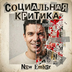 Социальная критика