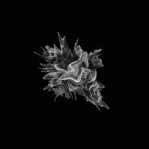 Push the Limit