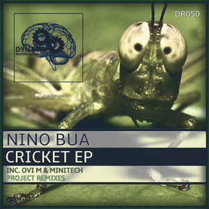 Cricket (Original Mix)