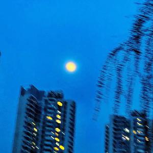 My Lucid Dream Is You