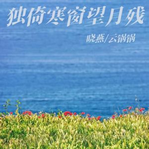 独倚寒窗望月残
