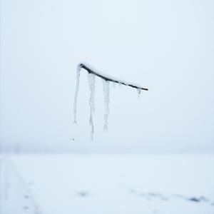 Vad hade du väntat på