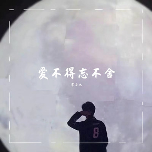 爱不得忘不舍