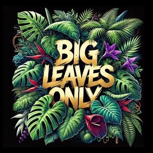 BIG LEAVES ONLY
