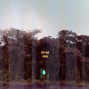 피터팬