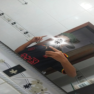 SEQUÊNCIA DA BOTAÇÃO