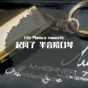 起风了 半音阶口琴