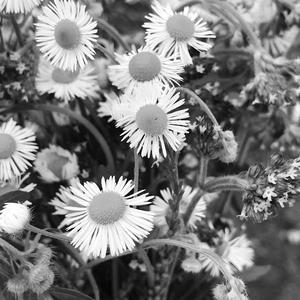 世界上不存在的歌 (cover: 赵英俊)