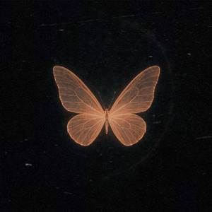 Te Amo (Já Faz Tempo)