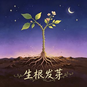 生根发芽