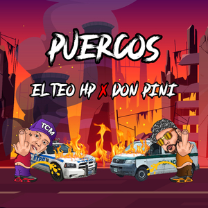 PUERCOS