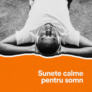 În depărtare (Ambientală)