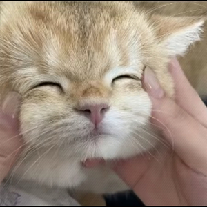 【不再联系1.3x】