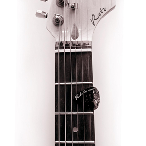 Really Got the Blues