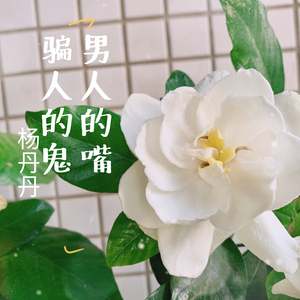 男人的嘴，骗人的鬼