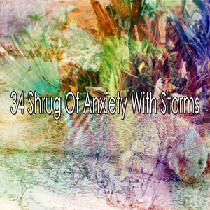 倾吐睡眠的夜晚