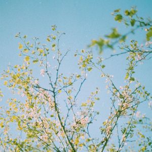 音韵
