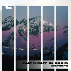 One Night in Paris