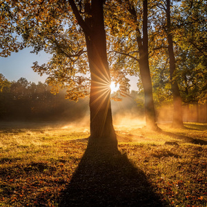 Capas De Melodía Estructuradas