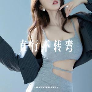 直行不转弯 (Remix)