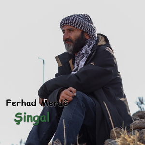 Şingal