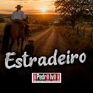 Estradeiro