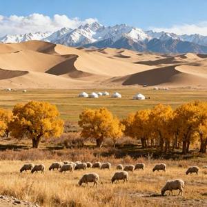 不想说再见 (Cover 孙兰妮)