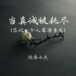 当真诚被耗尽(忘记一个人需要多久)