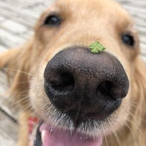 愿你相信