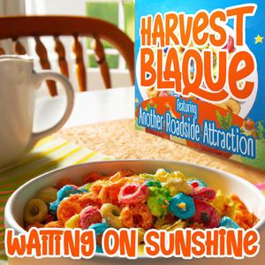 Waiting on Sunshine (feat. Another Roadside Attraction) (Radio Edit)