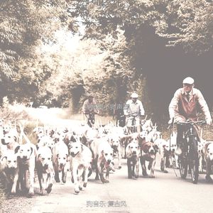 微妙的训练犬心情