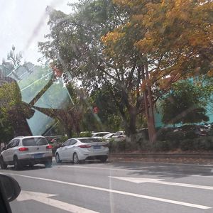 校园暗恋伤情