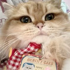 I Wanna Love You (sped up)