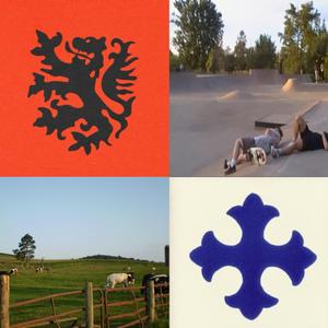 I want a cat, i think