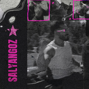 SALYANGOZ (Slowed & Reverb Version)