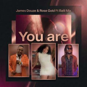 You are (feat. James Douze/ Rose Gold & Balil Mix)