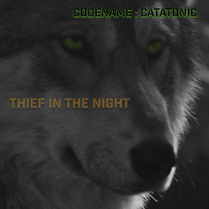 Thief in the Night