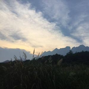 我预感当我老了，会孤独无依