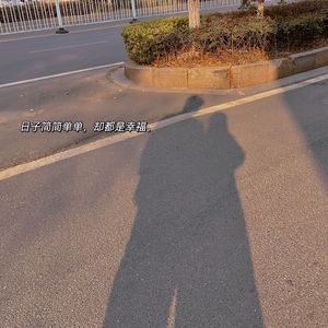 月下的光