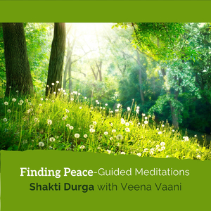 Coherence (feat. Veena Vaani)