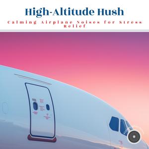 Airplane White Noise for Sleep