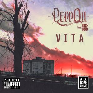 Vita (feat. Dj Cioppi & The BabeBand)