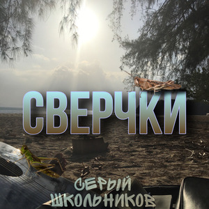 Сверчки