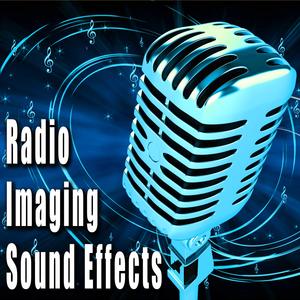 Camera Shutter with Chopper Accent