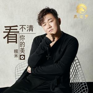 看不清你的美（DJ版）