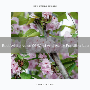 Best White Noise Of Wind And Water For Ultra Nap