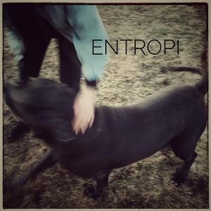 Entropi