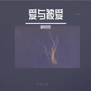 爱与被爱