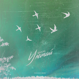 Улетай (Chicagoo Remix)