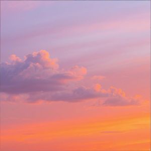 明天如约共此生